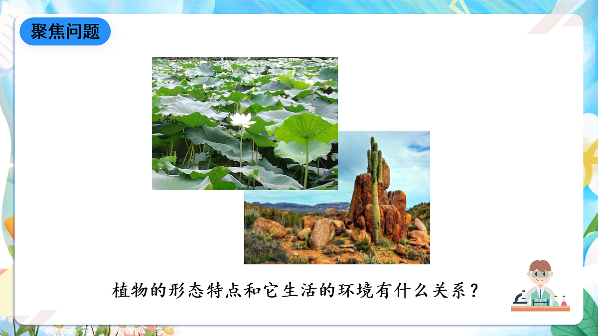 人教鄂教版科学四下3.10《不同环境中的植物》课件第5页