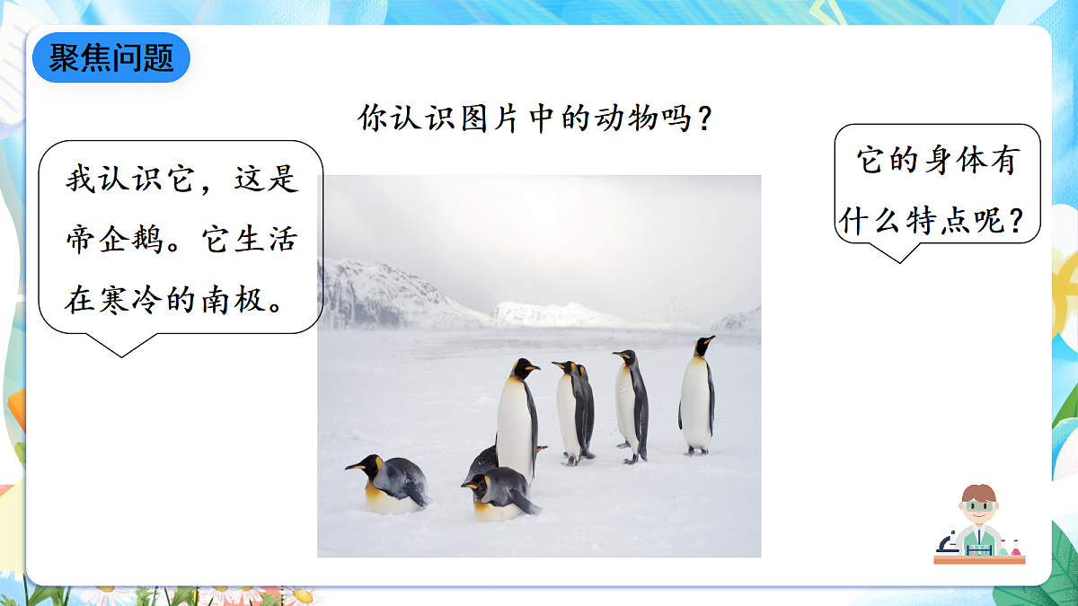人教鄂教版科学四下3.11《不同环境中的动物》课件第3页