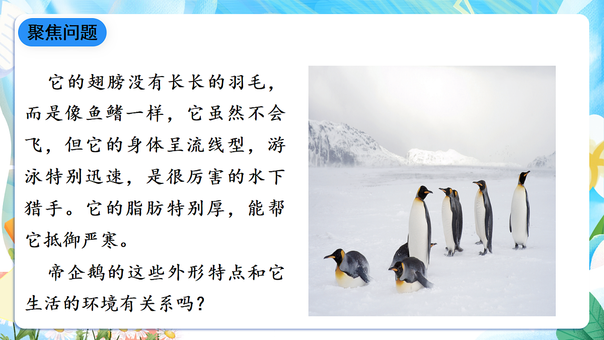 人教鄂教版科学四下3.11《不同环境中的动物》课件第4页