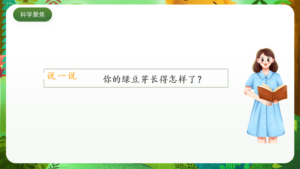 教科版(2017)科学五下1.3 《绿豆苗的生长》 课件第3页