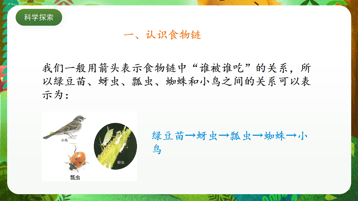 教科版(2017)科学五下1.6 《食物链和食物网》 课件第6页