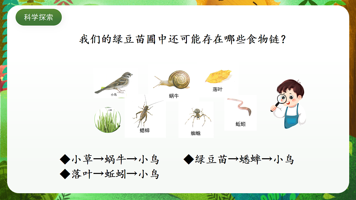 教科版(2017)科学五下1.6 《食物链和食物网》 课件第8页