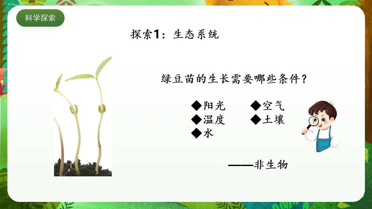 教科版(2017)科学五下1.7 《设计和制作生态瓶》 课件第7页