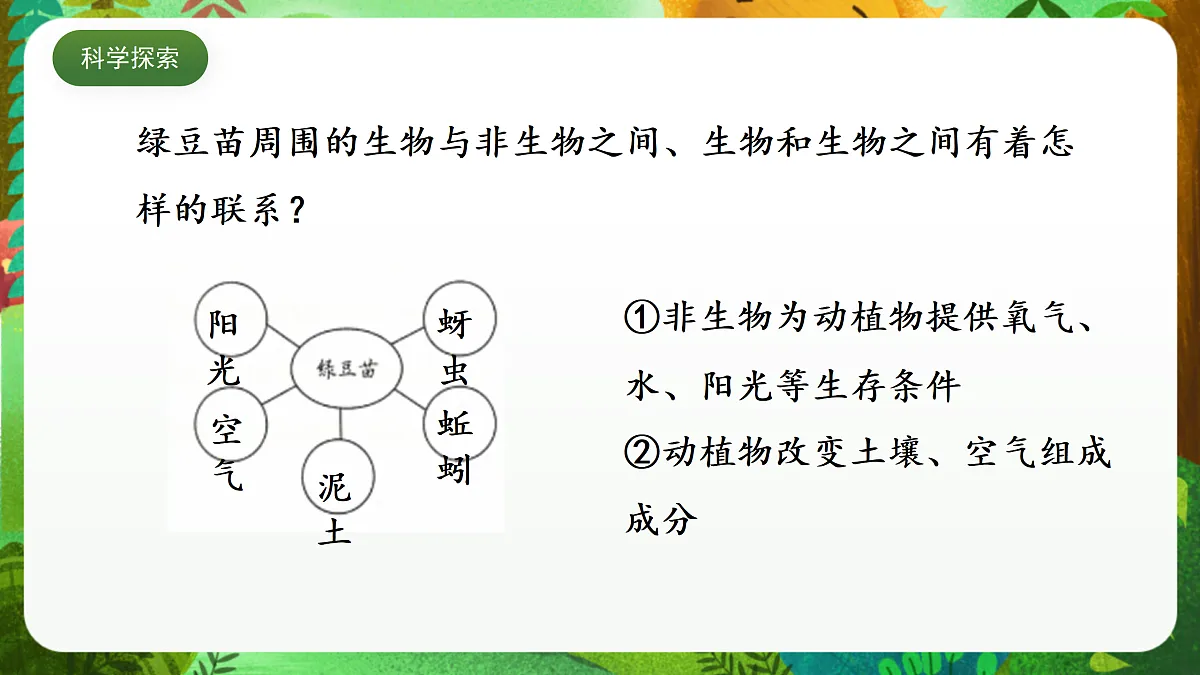 教科版(2017)科学五下1.7 《设计和制作生态瓶》 课件第8页
