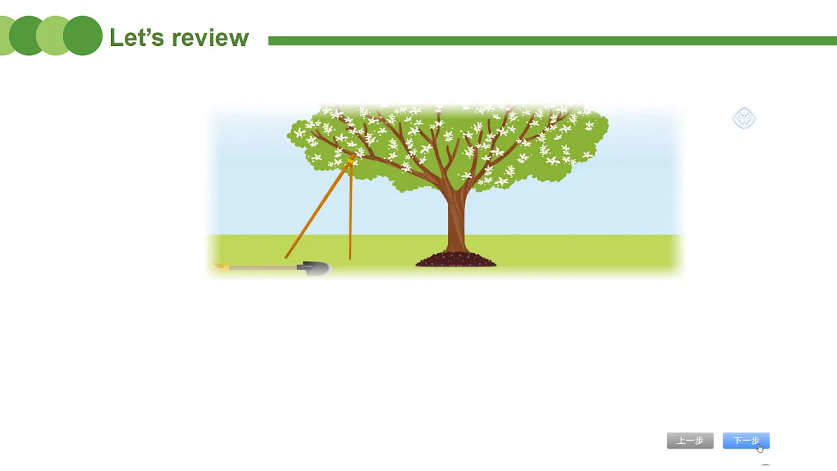 Unit4 Plants around us Part C Project & Reading time (第7课时)课件第4页