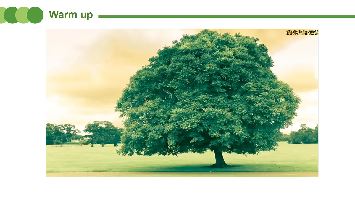 Unit4 Plants around us Part C Project & Reading time (第7课时)课件第5页