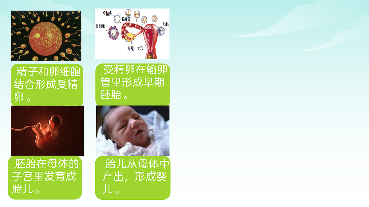17482869第2页