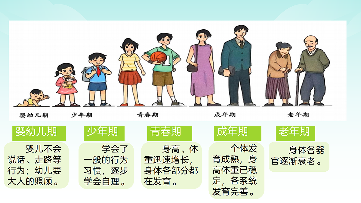 17482869第3页