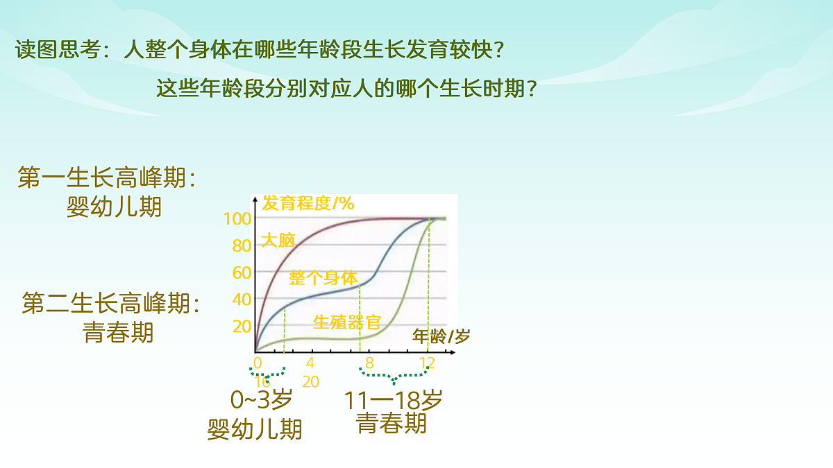 17482869第4页
