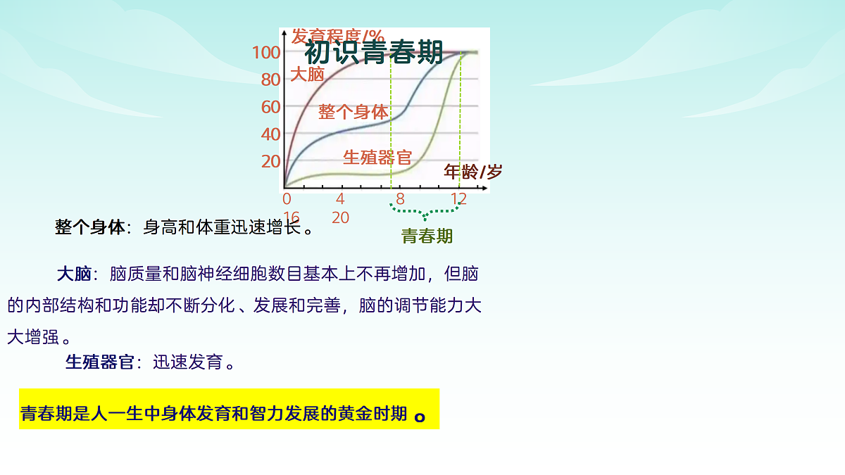17482869第5页