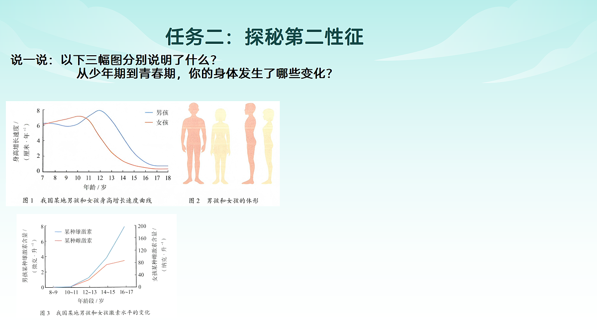 17482869第8页