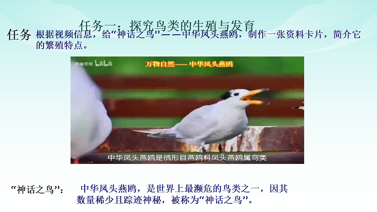17482872第2页