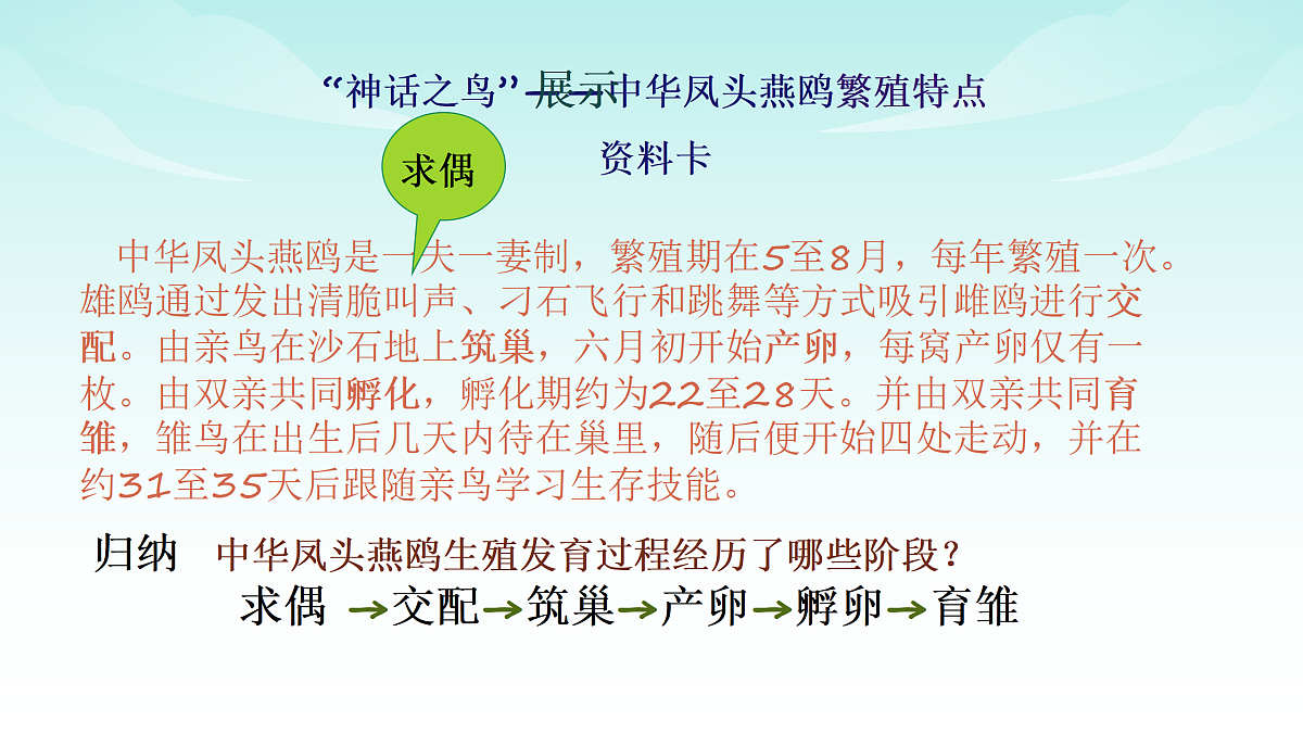 17482872第3页