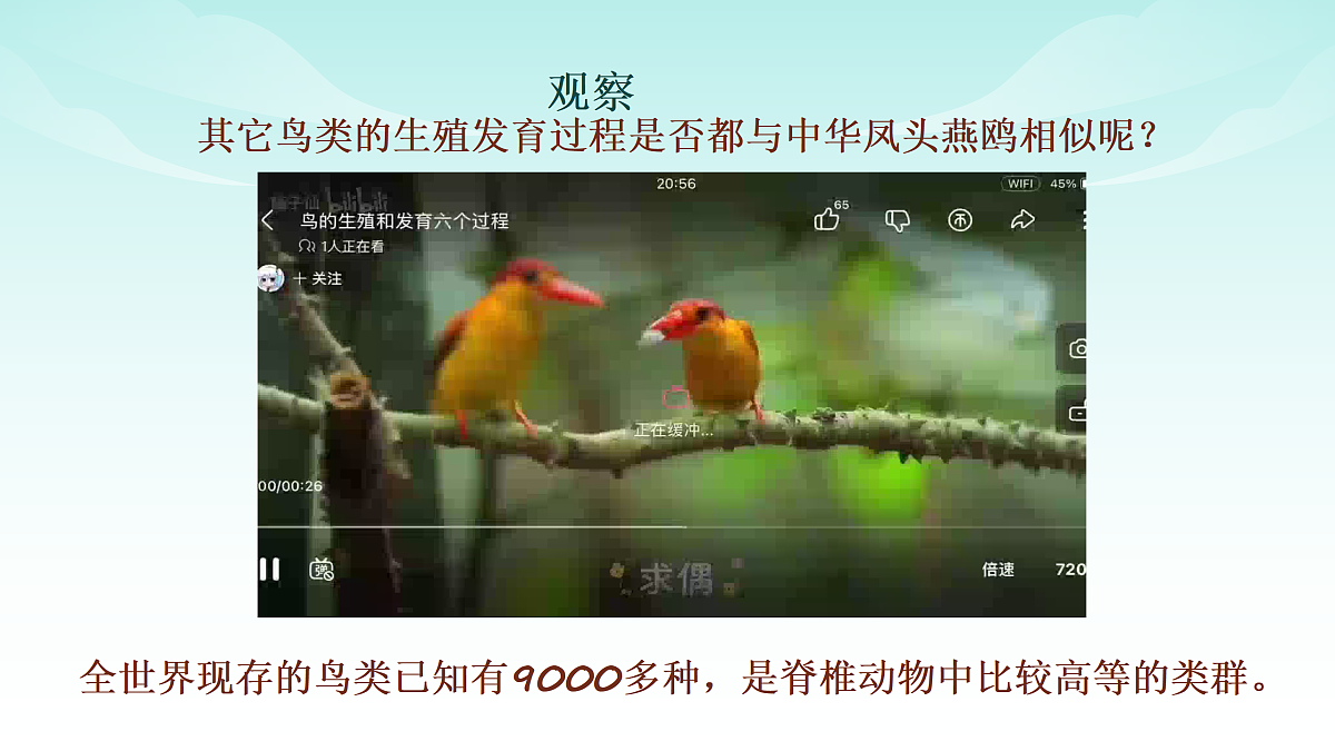 17482872第4页