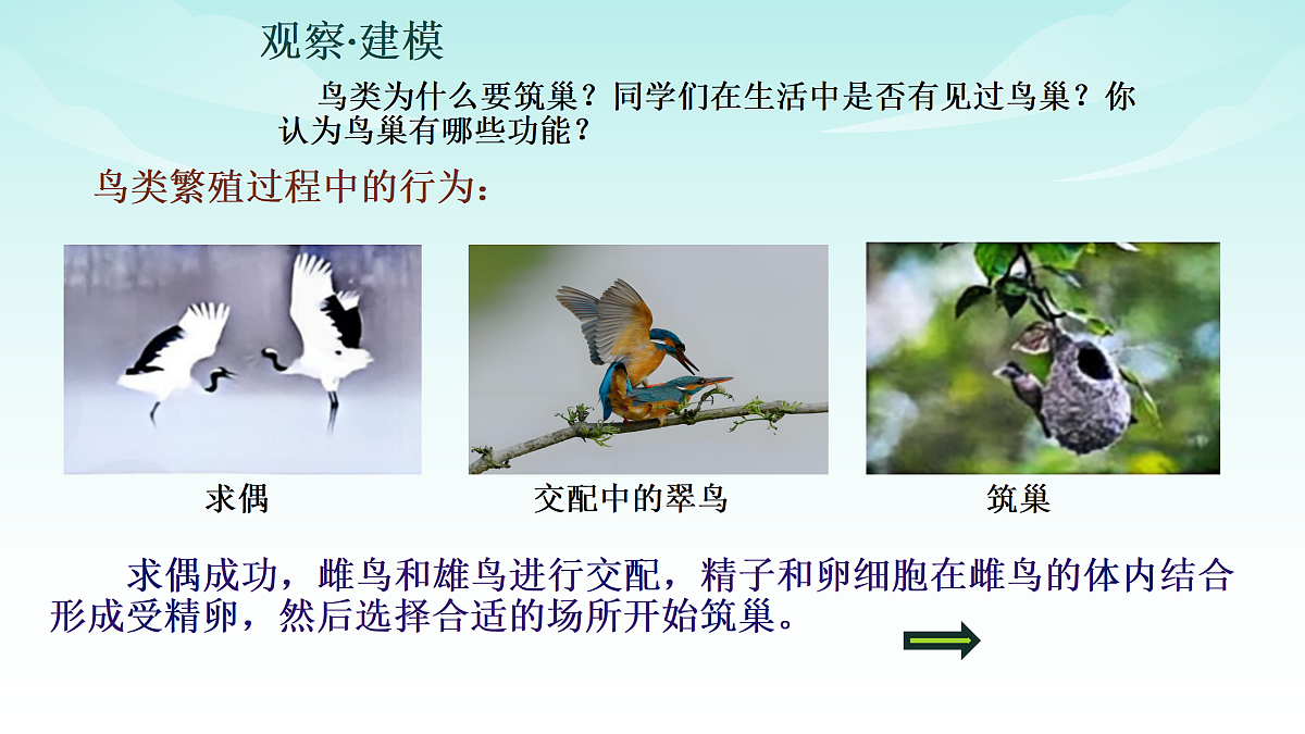 17482872第5页