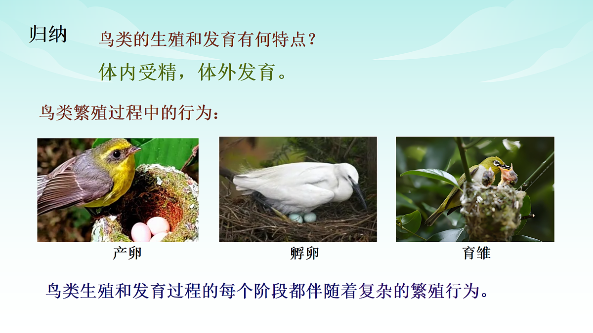 17482872第7页