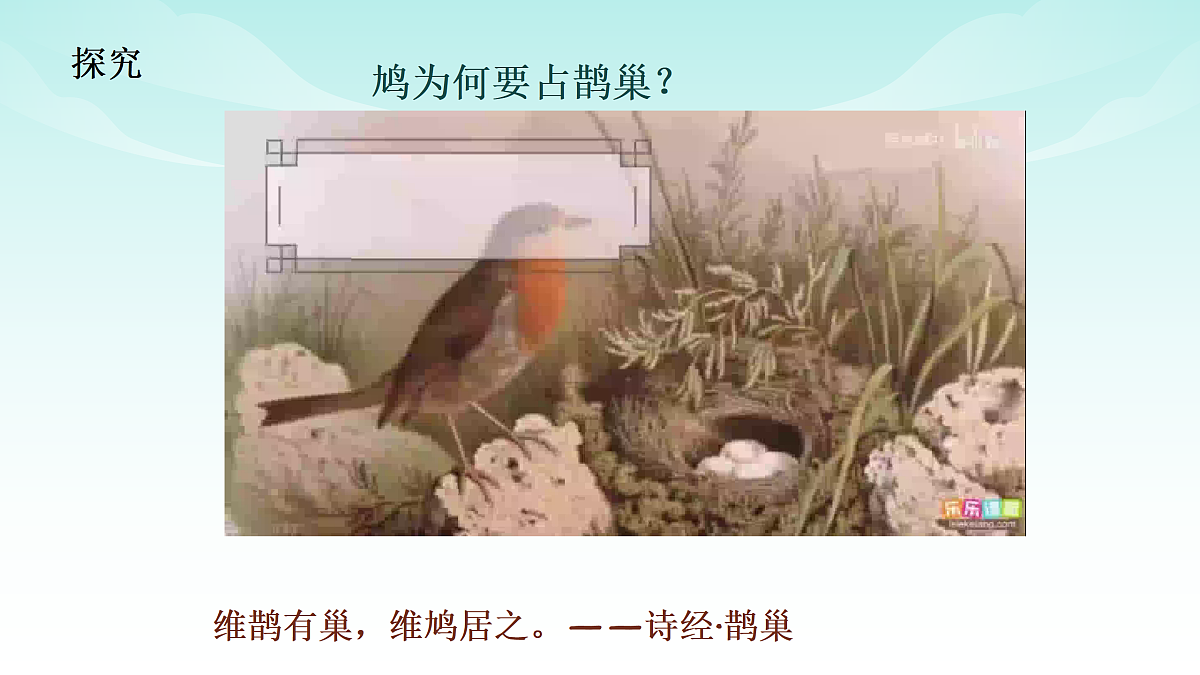 17482872第8页