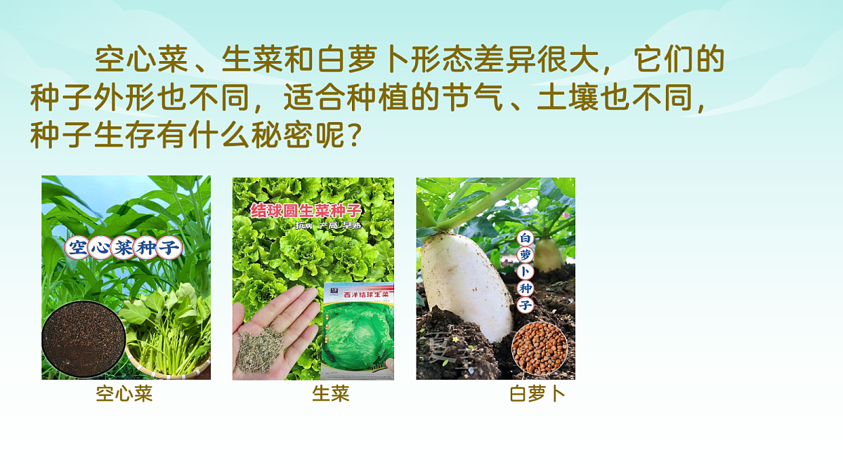 17482874第2页