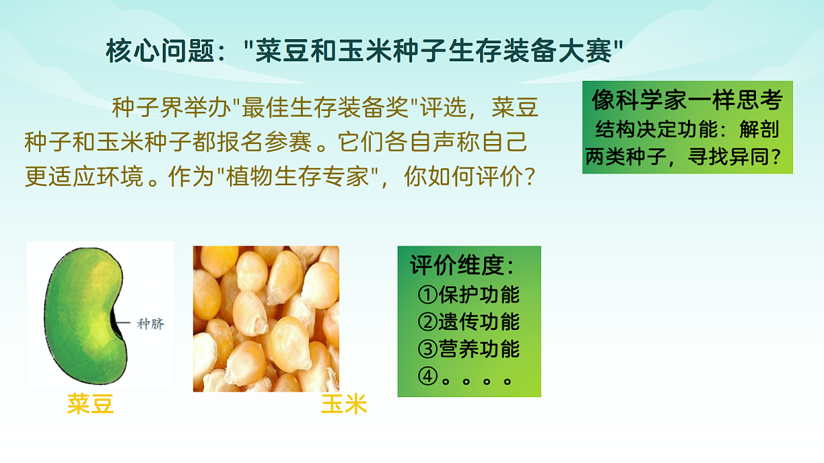 17482874第3页