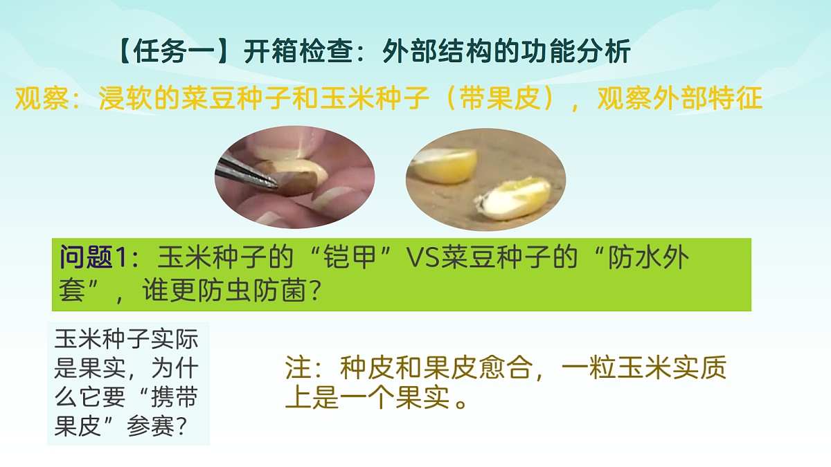 17482874第4页