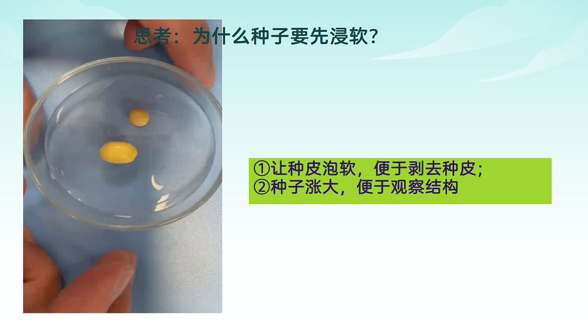17482874第5页