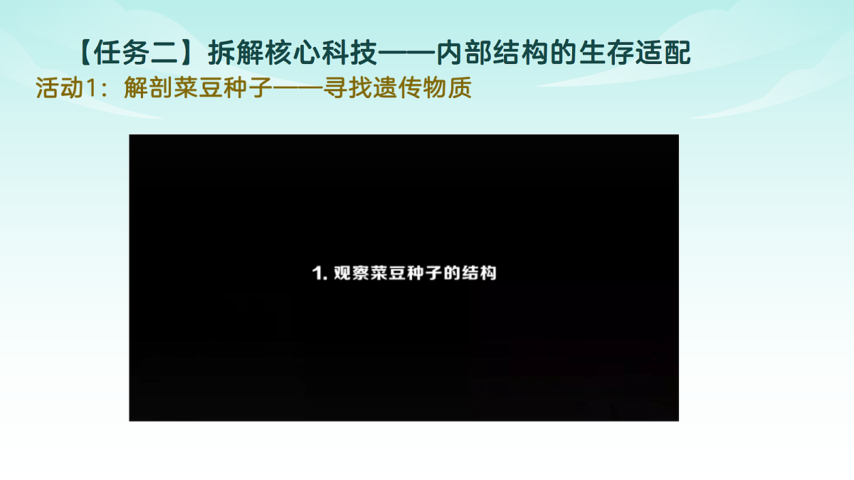 17482874第7页