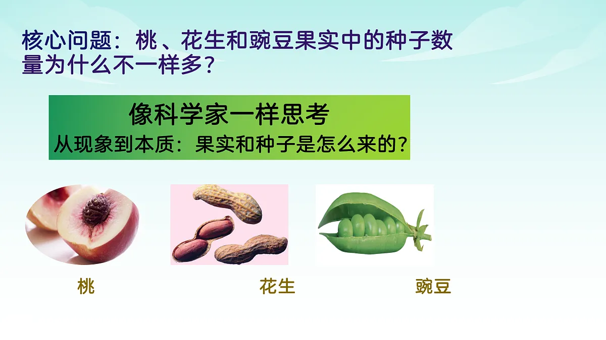 17482875第2页