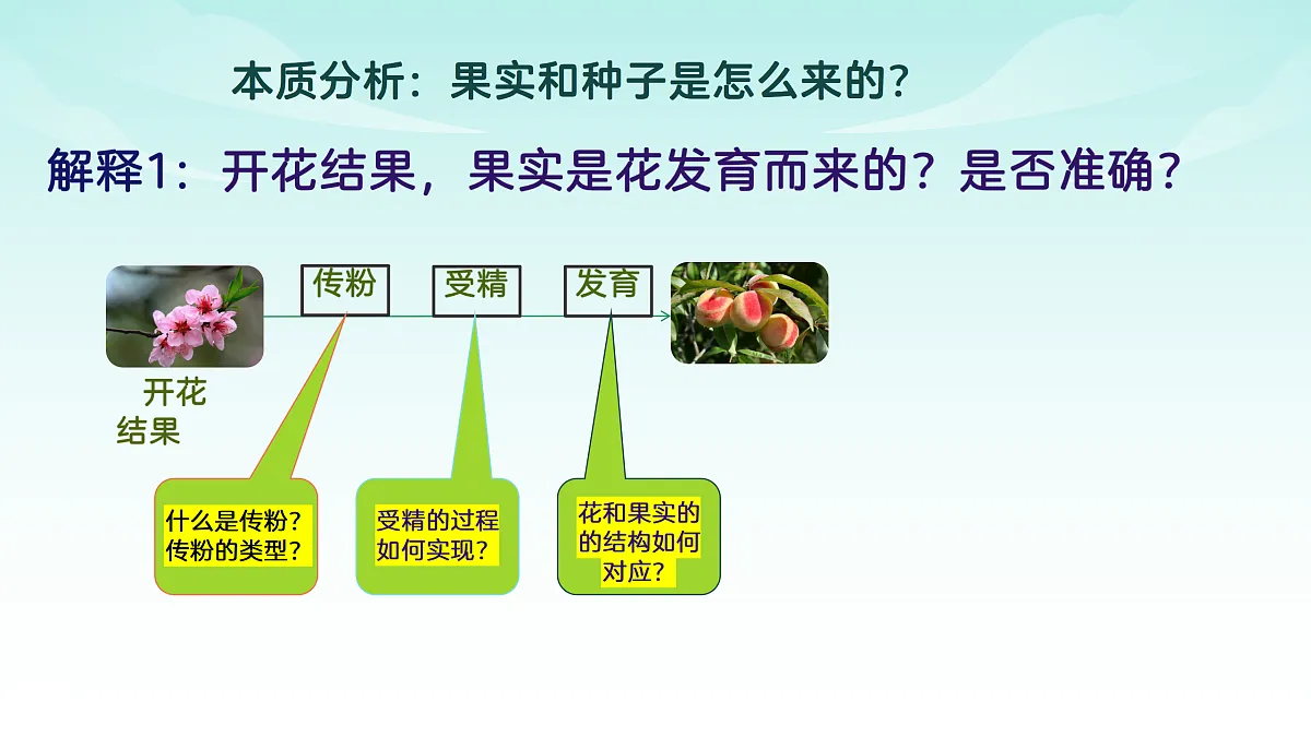 17482875第3页