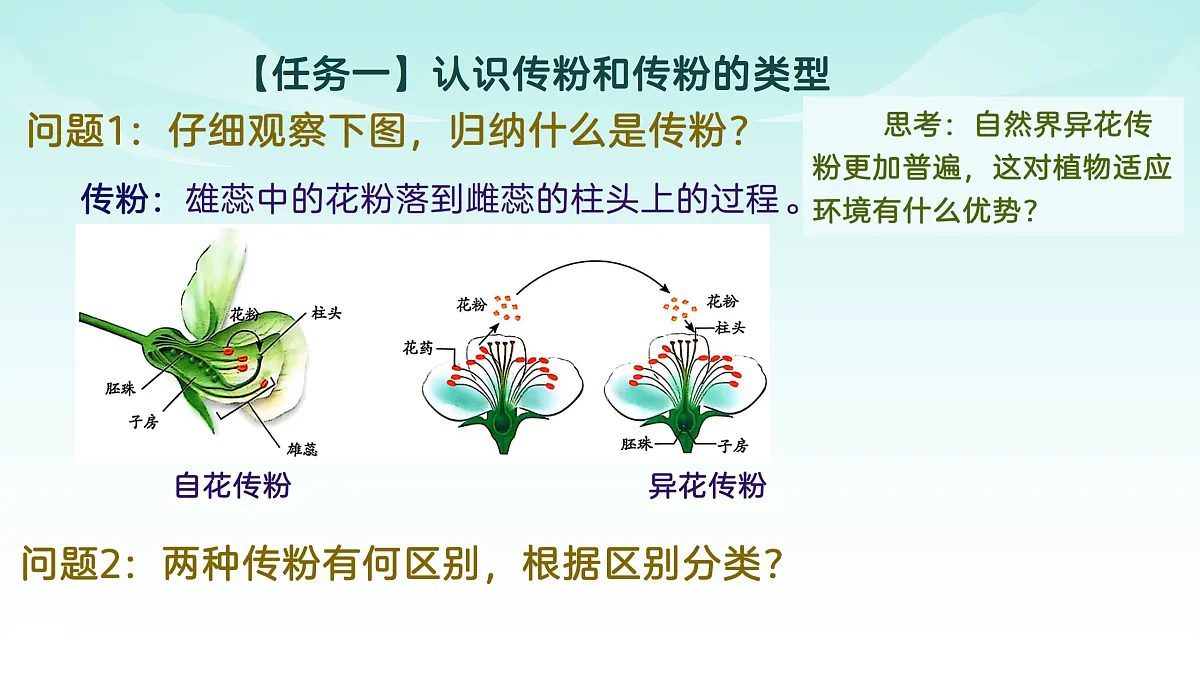 17482875第4页