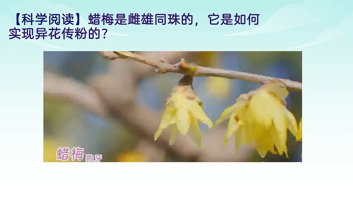 17482875第5页