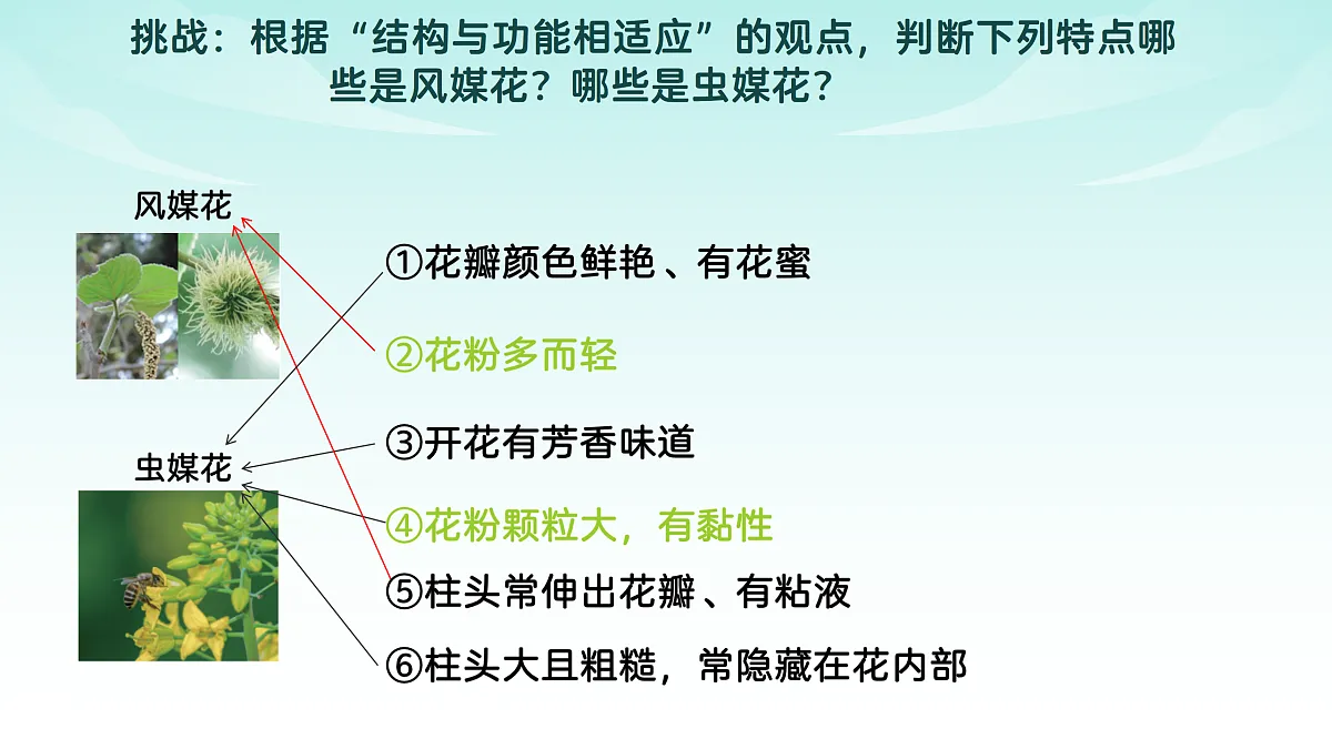 17482875第7页