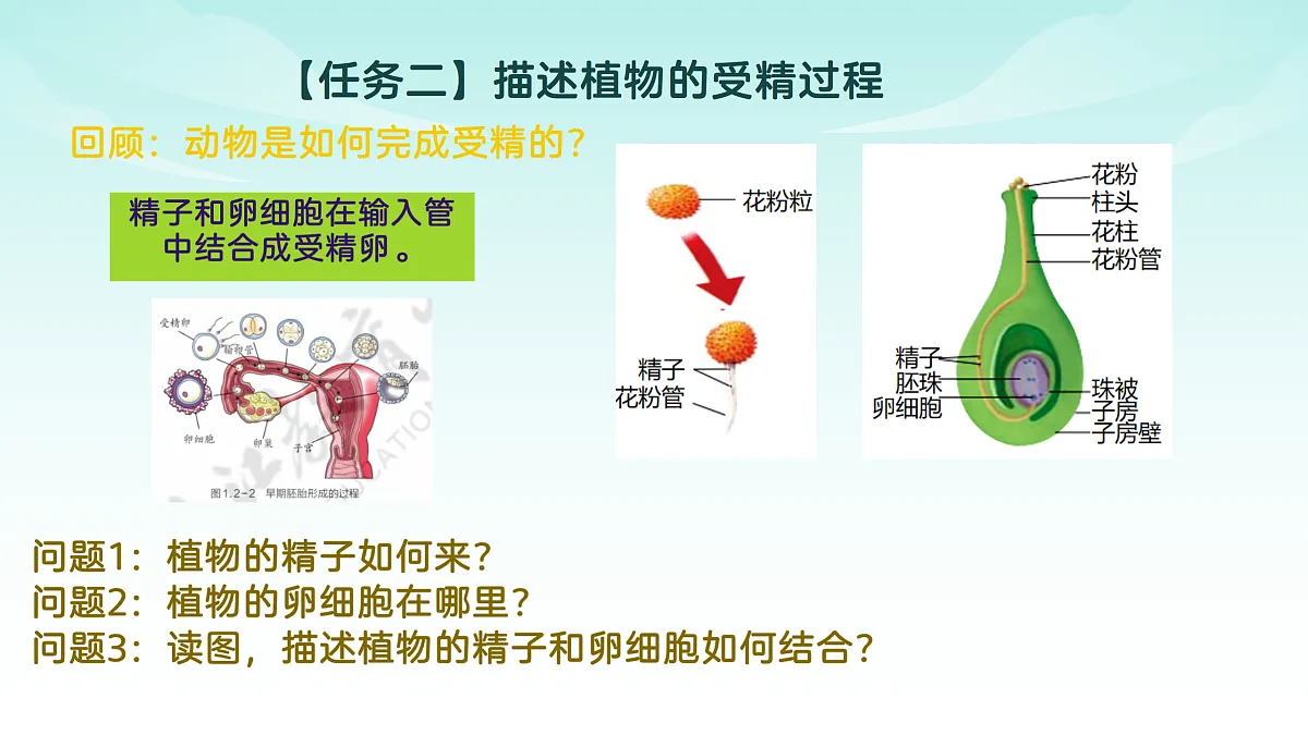 17482875第8页