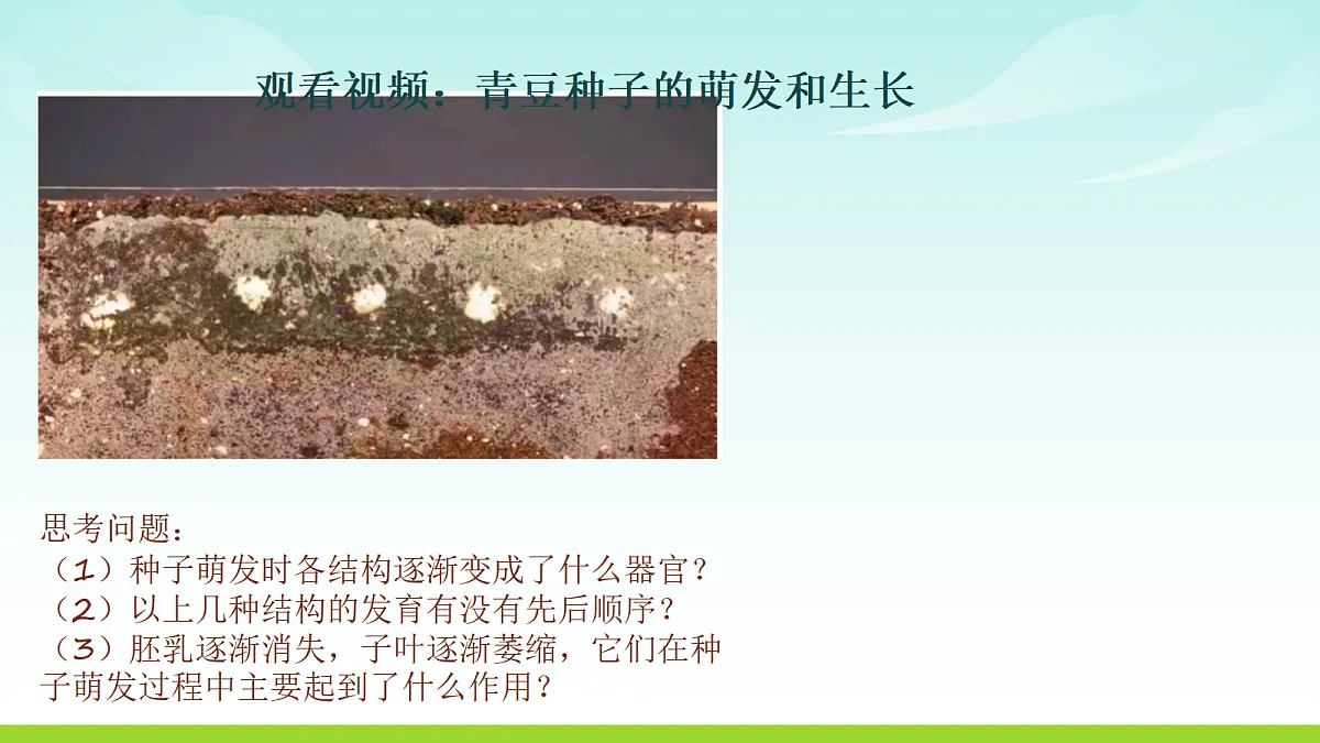 17482876第2页