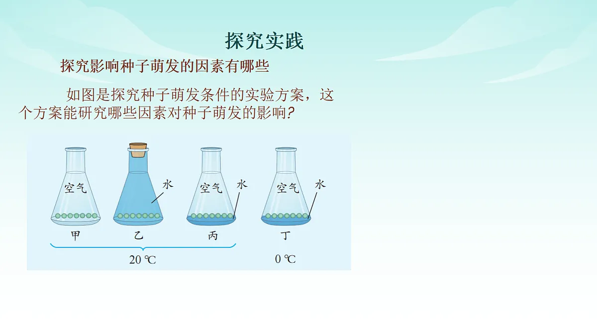 17482876第4页