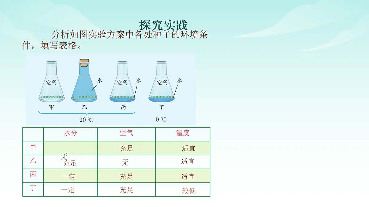 17482876第5页