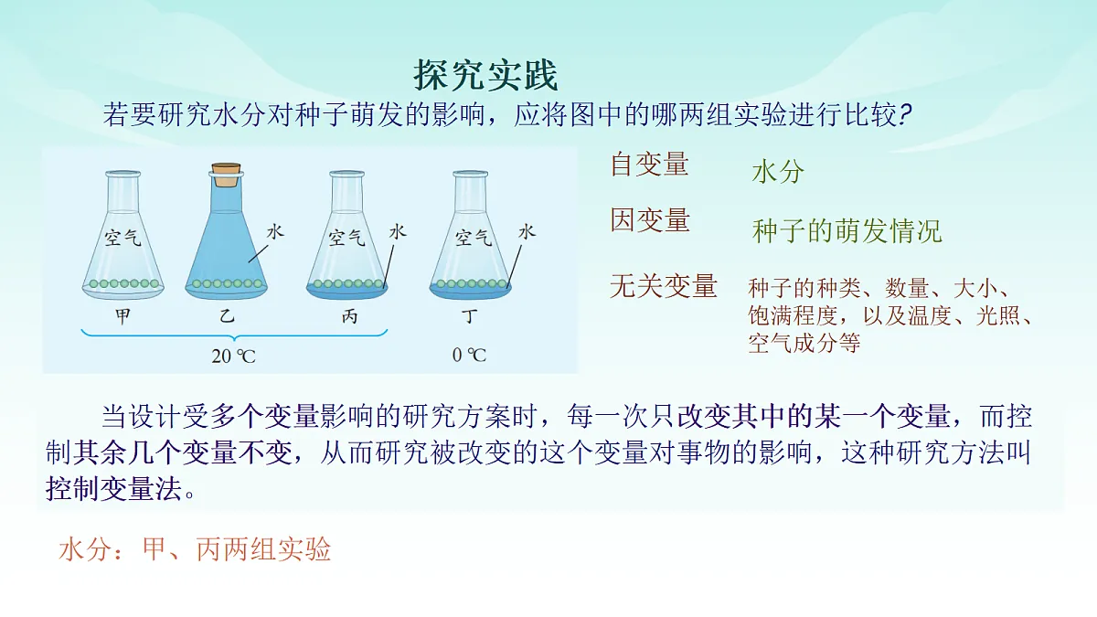 17482876第6页