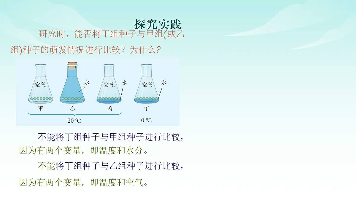 17482876第8页