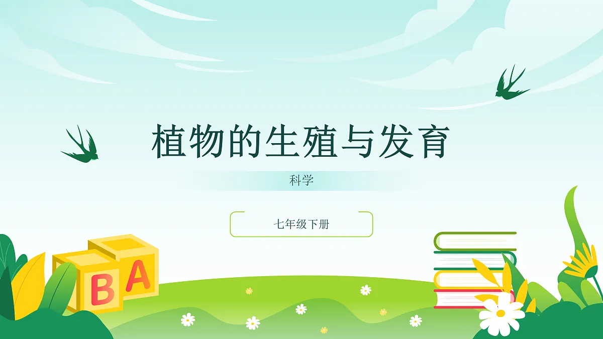 17482877第1页