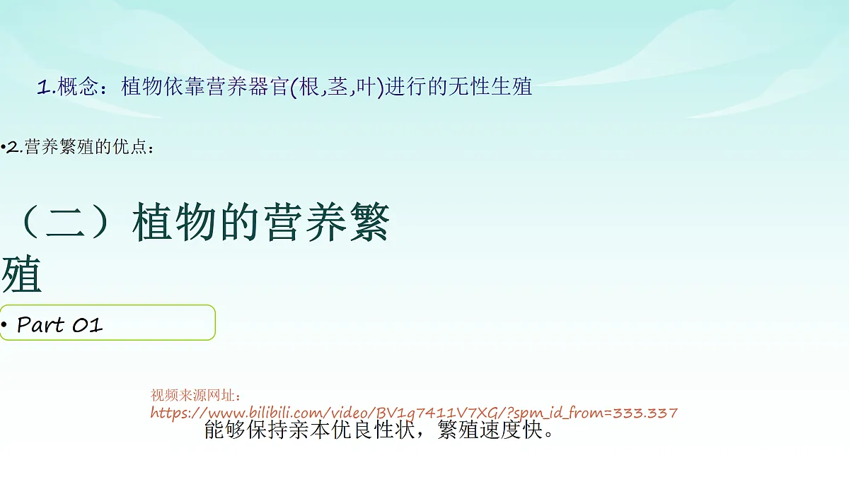 17482877第5页