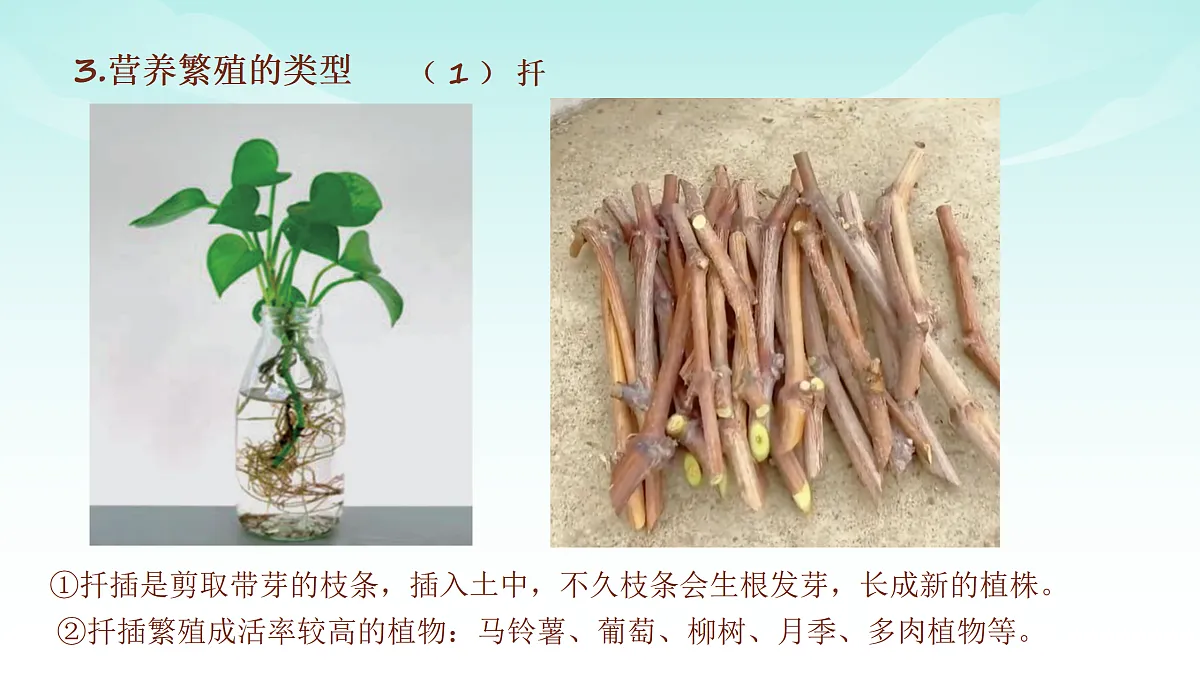 17482877第6页
