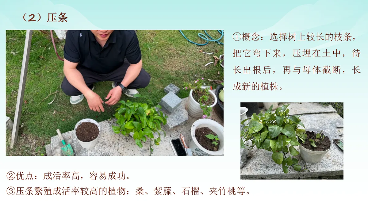 17482877第7页