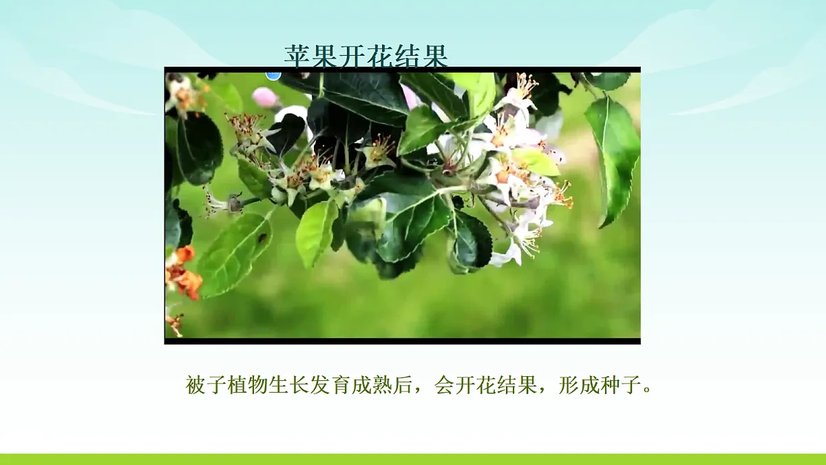 17482878第2页