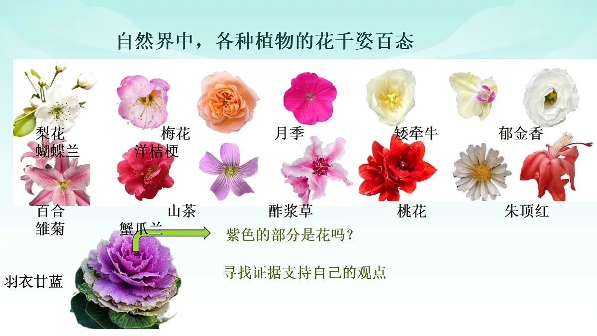 17482878第3页
