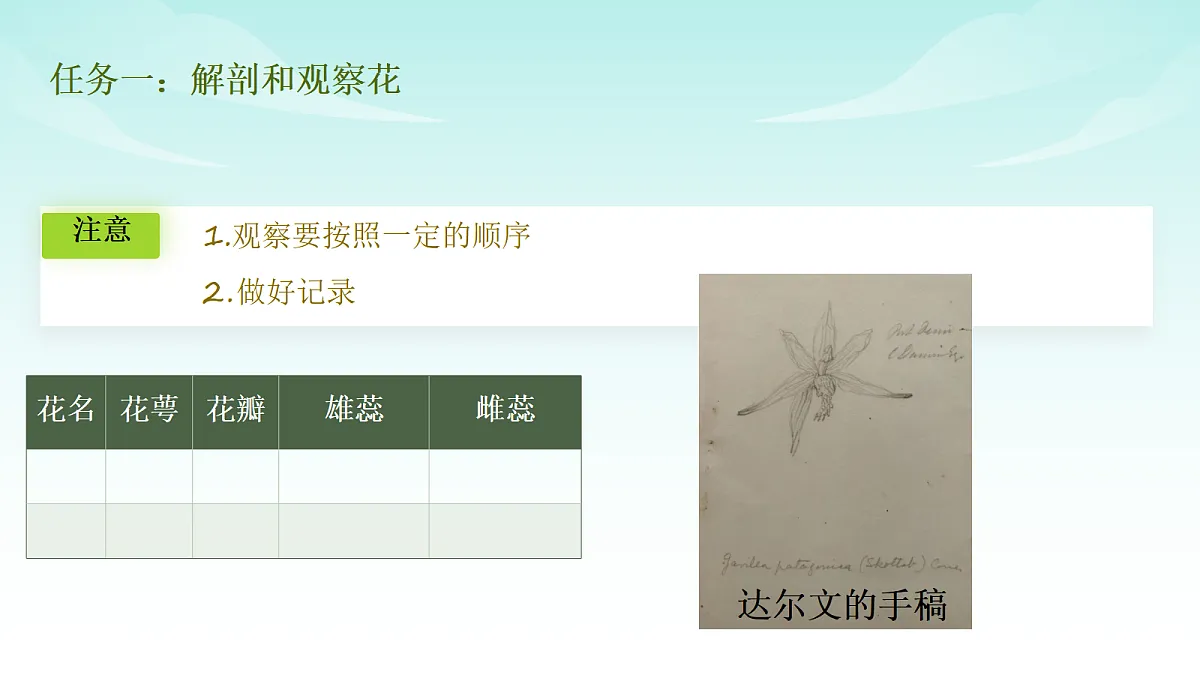 17482878第5页