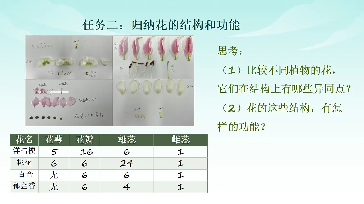 17482878第7页