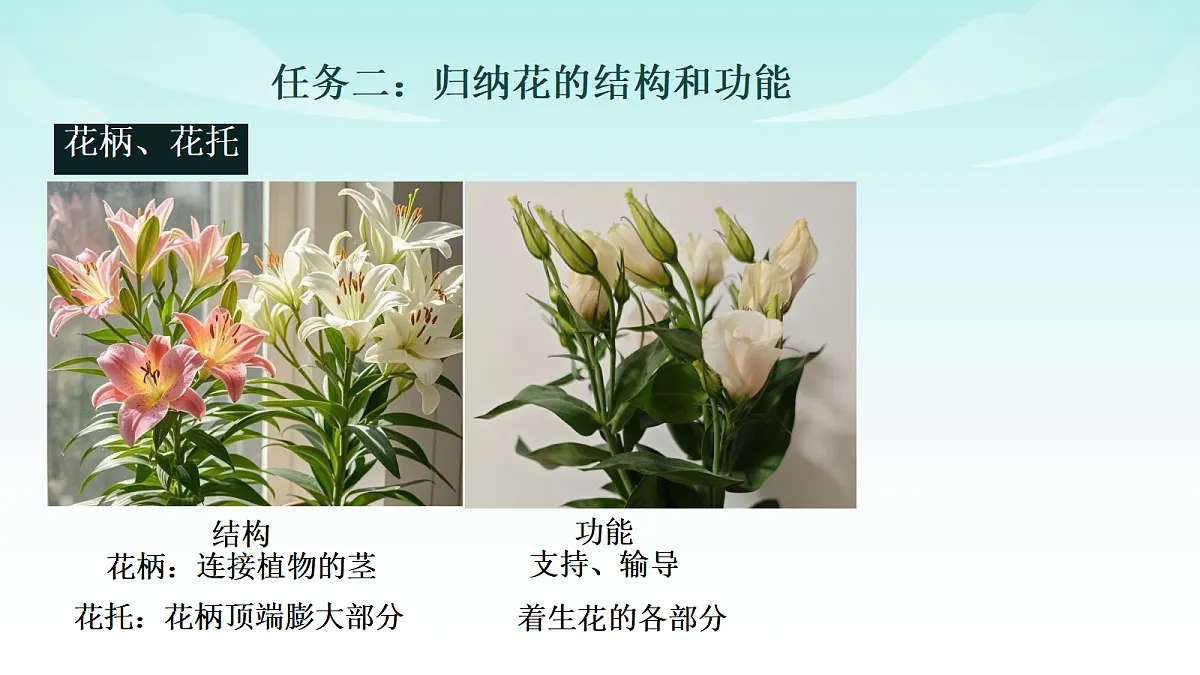 17482878第8页