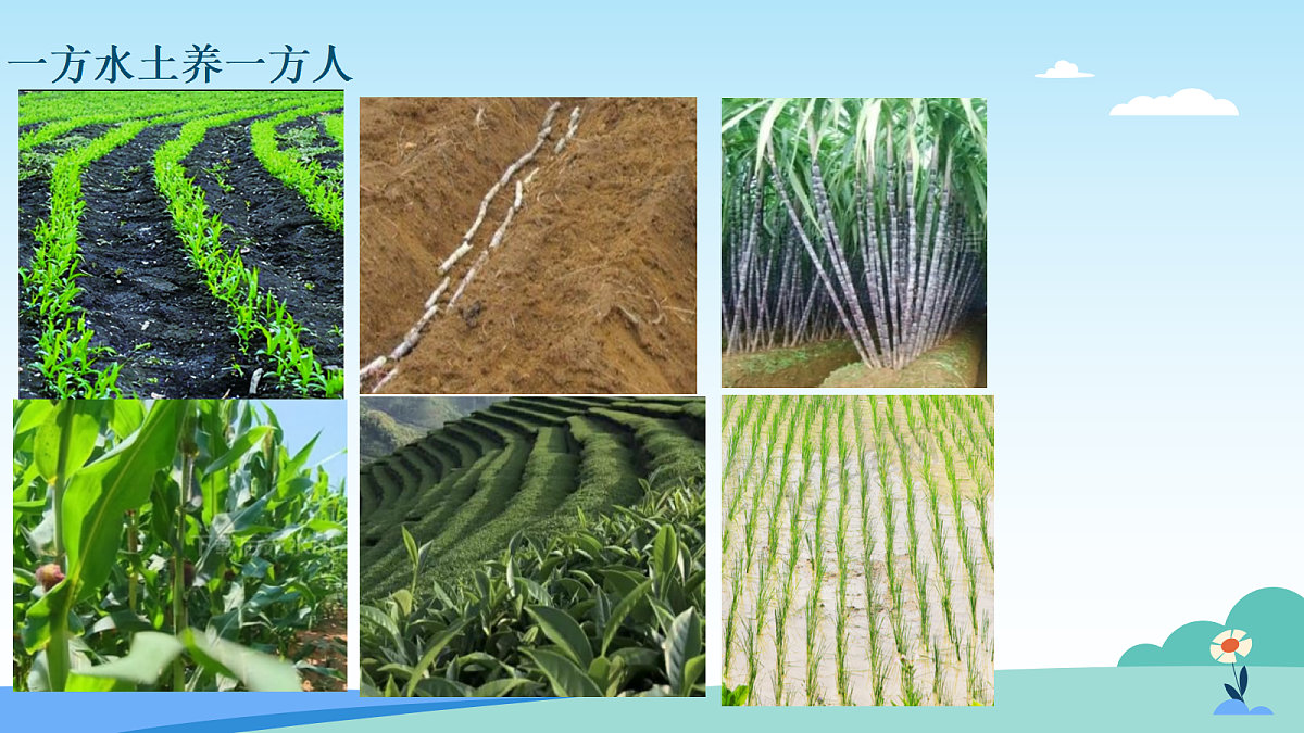 17482880第2页