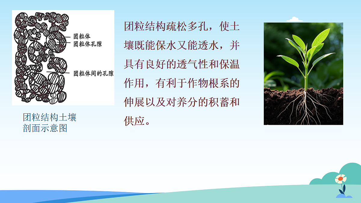 17482880第5页