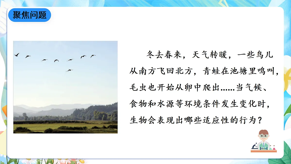 人教鄂教版科学六下1.1《生物的栖息地》课件第3页
