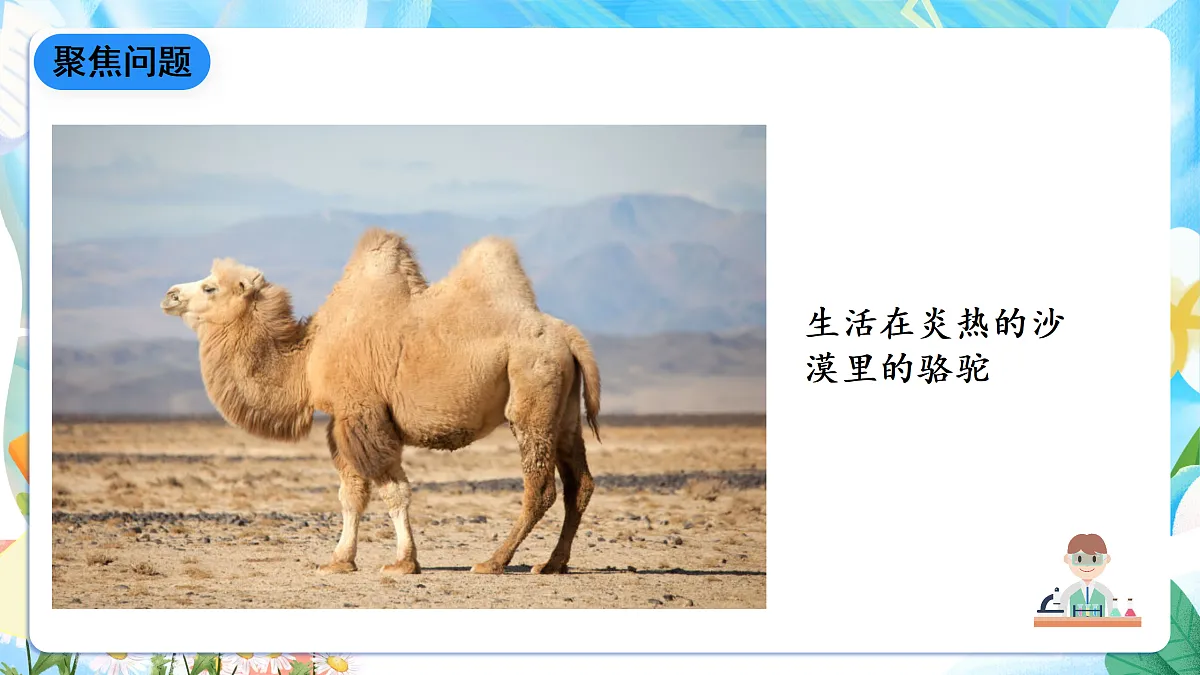 人教鄂教版科学六下1.1《生物的栖息地》课件第5页